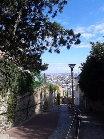 L'escalier Germaine Coty